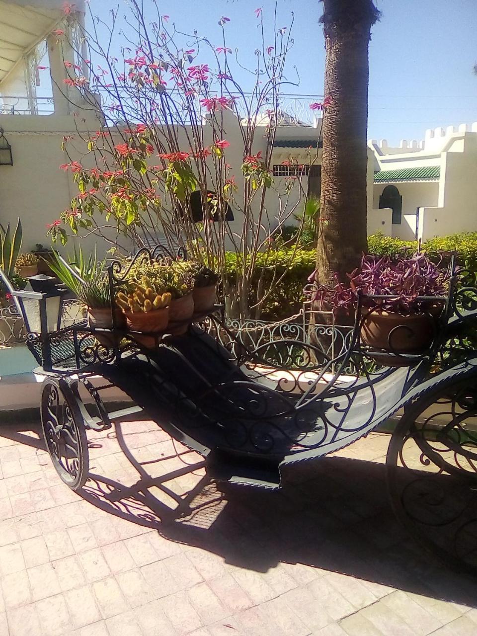 Hotel Riad L' Arganier D' Or Ait el Rhazi Bagian luar foto